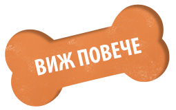 https://betapet.bg/wp-content/uploads/2023/03/learn-more-bone-01-orange.png