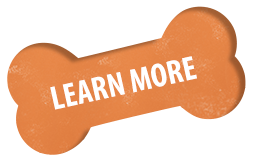 https://betapet.bg/wp-content/uploads/2023/03/learn-more-bone-01-orange.png