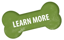 https://betapet.bg/wp-content/uploads/2023/03/learn-more-bone-01.png