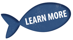 https://betapet.bg/wp-content/uploads/2023/03/learn-more-fish-02.png